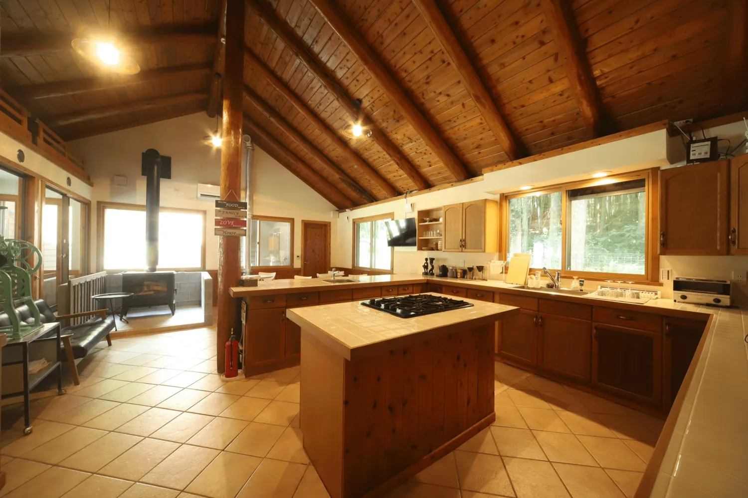 キャンプサイトの全景